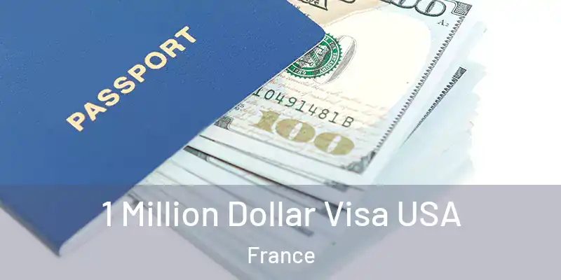 1 Million Dollar Visa USA France
